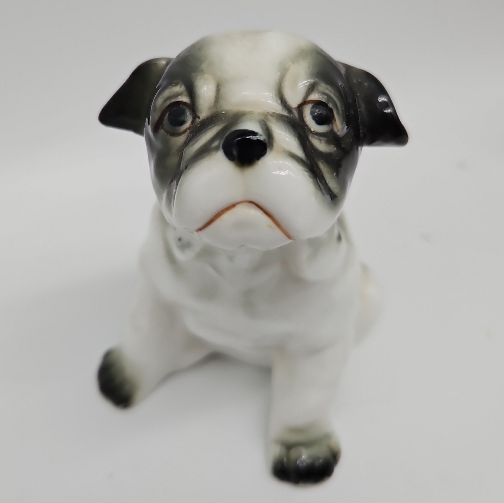 Procelain puppy boxer dog